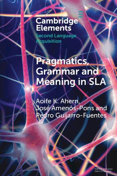 Aoife K. Ahern, José Amenós-Pons, Pedro Guijarro-Fuentes - Pragmatics, Grammar and Meaning in SLA, Häftad