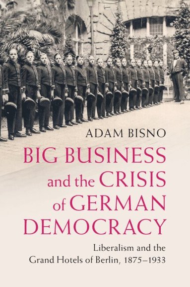 bokomslag Big Business and the Crisis of German Democracy