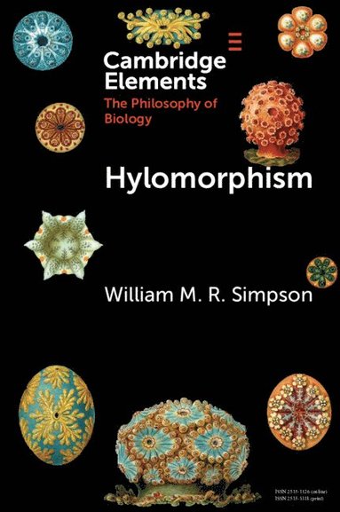 bokomslag Hylomorphism