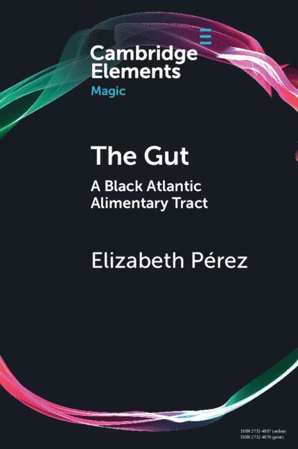 Elizabeth P&#233;rez, Elizabeth Pérez, Santa Barbara) Perez, Elizabeth (University of California - The Gut, Häftad