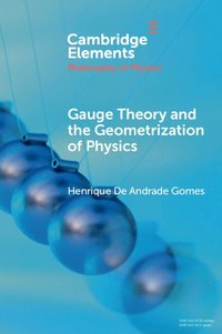 bokomslag Gauge Theory and the Geometrisation of Physics