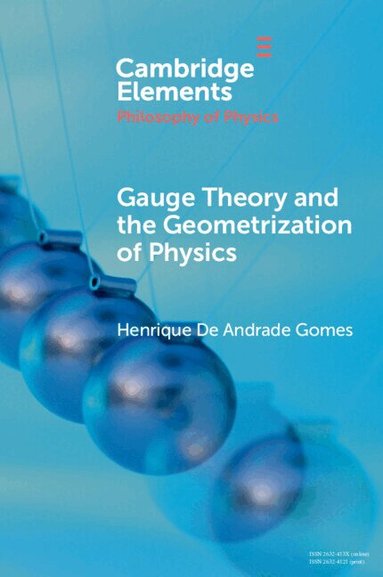 Henrique De Andrade Gomes - Gauge Theory and the Geometrization of Physics, Häftad