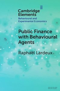 bokomslag Public Finance with Behavioural Agents