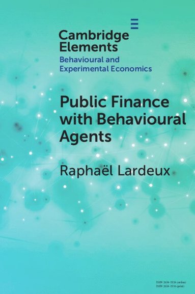 bokomslag Public Finance with Behavioural Agents