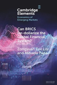 bokomslag Can BRICS De-dollarize the Global Financial System?