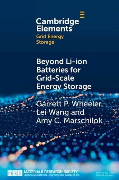 Garrett P. Wheeler, Lei Wang, Amy C. Marschilok - Beyond Li-ion Batteries for Grid-Scale Energy Storage, Häftad