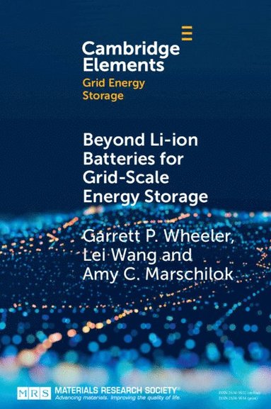 bokomslag Beyond Li-ion Batteries for Grid-Scale Energy Storage