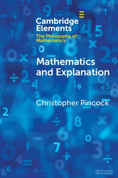 Christopher Pincock - Mathematics and Explanation, Häftad