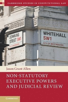Non-Statutory Executive Powers and Judicial Review
