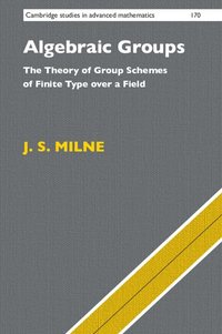 bokomslag Algebraic Groups