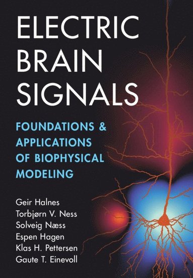 bokomslag Electric Brain Signals