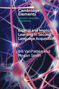 bokomslag Explicit and Implicit Learning in Second Language Acquisition