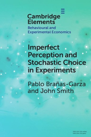 bokomslag Imperfect Perception and Stochastic Choice in Experiments