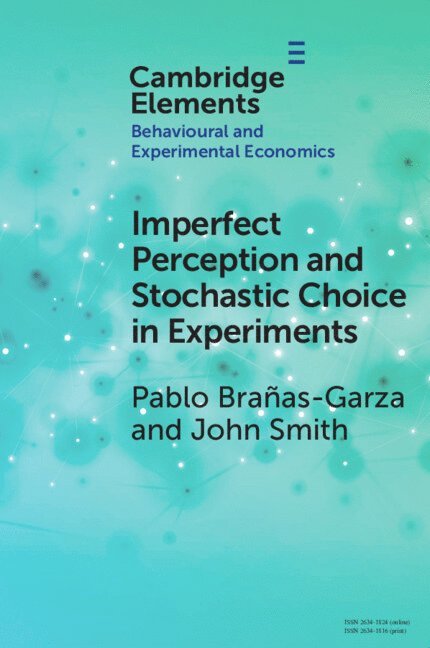 Imperfect Perception and Stochastic Choice in Experiments 1