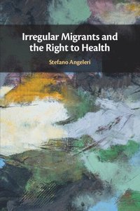 bokomslag Irregular Migrants and the Right to Health