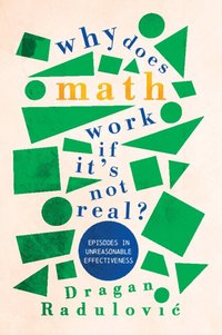bokomslag Why Does Math Work ? If It's Not Real?