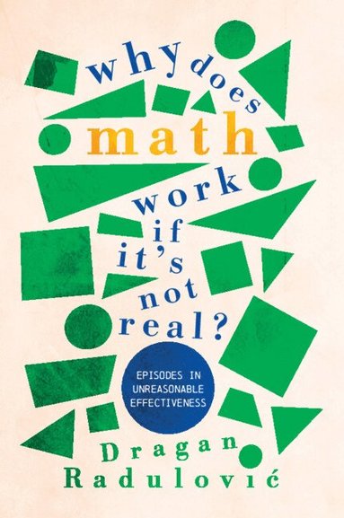 bokomslag Why Does Math Work ? If It's Not Real?