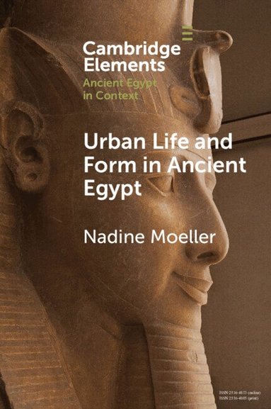 Nadine Moeller - Urban Life and Form in Ancient Egypt, Häftad