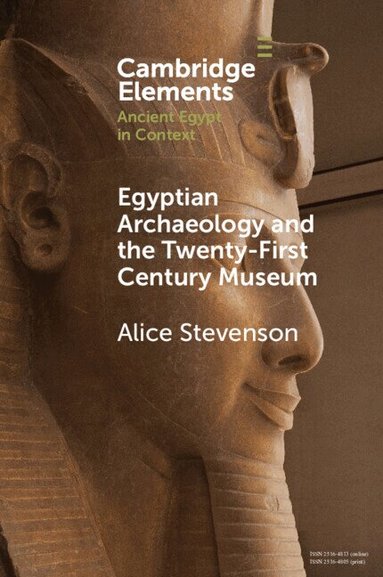 Alice Stevenson - Egyptian Archaeology and the Twenty-First Century Museum, Häftad