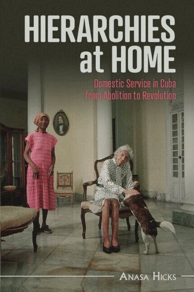 Anasa Hicks - Hierarchies at Home, Häftad