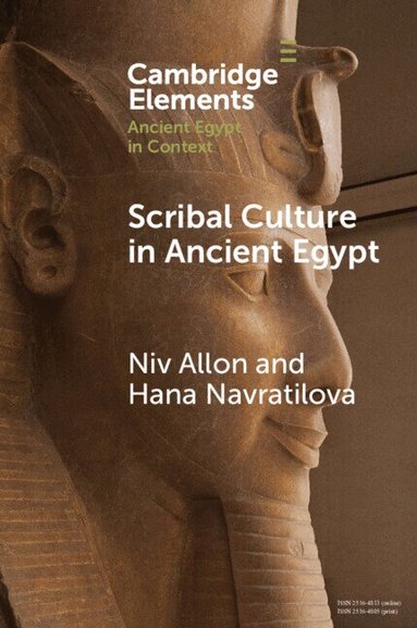 Niv Allon, Hana Navratilova - Scribal Culture in Ancient Egypt, Häftad