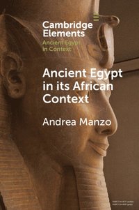 bokomslag Ancient Egypt in its African Context