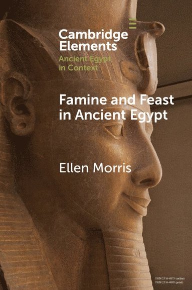 bokomslag Famine and Feast in Ancient Egypt