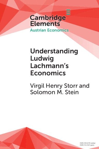 Virgil Henry Storr, Solomon M. Stein - Understanding Ludwig Lachmann's Economics, Häftad