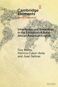 bokomslag Inheritance and Innovation in the Evolution of Rural African American English