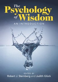 bokomslag Psychology of Wisdom