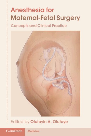 Olutoyin A. Olutoye - Anesthesia for Maternal-Fetal Surgery, Häftad