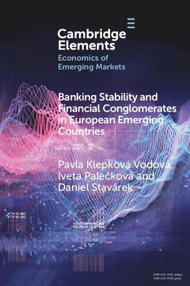 Pavla Klepková Vodová, Iveta Palečková, Daniel Stavárek - Banking Stability and Financial Conglomerates in European Emerging Countries, Häftad