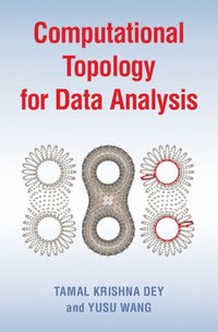 bokomslag Computational Topology for Data Analysis