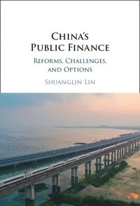 bokomslag China's Public Finance