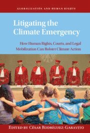 bokomslag Litigating the Climate Emergency