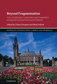 bokomslag Beyond Fragmentation