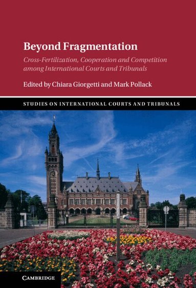 Chiara Giorgetti, Mark Pollack - Beyond Fragmentation, Inbunden