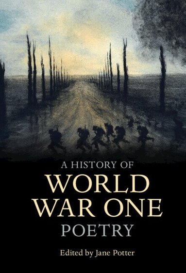 Jane Potter - A History of World War One Poetry, Inbunden