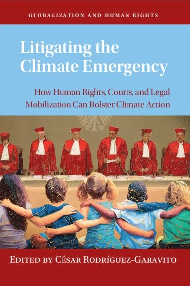 bokomslag Litigating the Climate Emergency