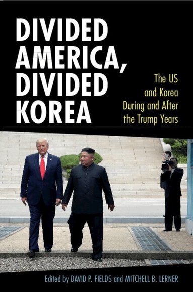 David P. Fields, Mitchell B. Lerner - Divided America, Divided Korea, Häftad