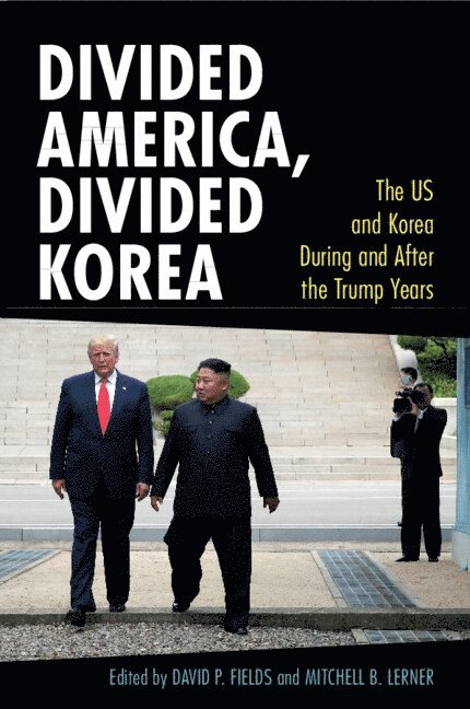 David P. Fields, Mitchell B. Lerner, Madison) Fields, David P. (University of Wisconsin, Mitchell B. (Ohio State University) Lerner, David P Fields, Mitchell B Lerner - Divided America, Divided Korea, Häftad