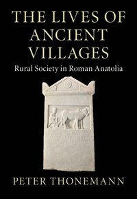 bokomslag The Lives of Ancient Villages