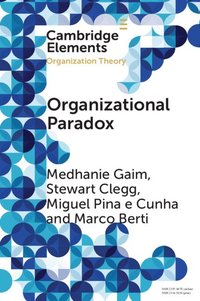 bokomslag Organizational Paradox