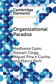 bokomslag Organizational Paradox