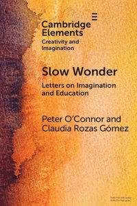 bokomslag Slow Wonder