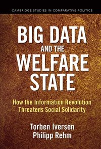 bokomslag Big Data and the Welfare State