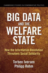 bokomslag Big Data and the Welfare State