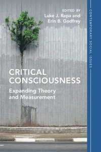 bokomslag Critical Consciousness