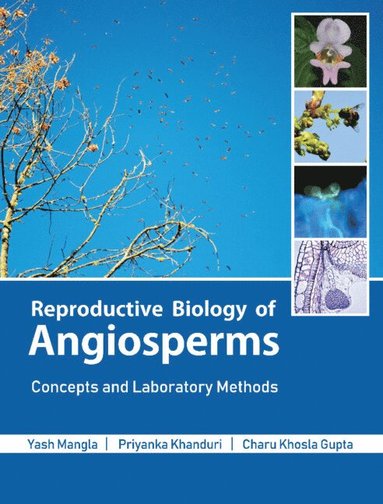 bokomslag Reproductive Biology of Angiosperms