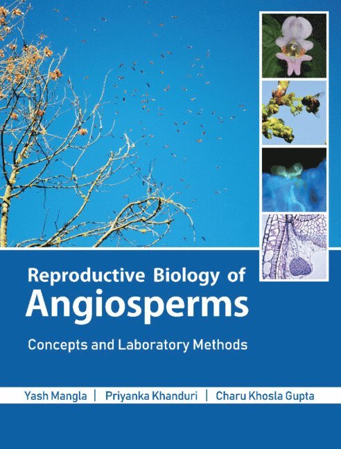 Reproductive Biology of Angiosperms 1